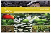 Poljoprivredna Bioraznolikost Dalmacije s