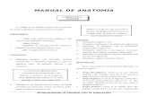 Manual de Antomia