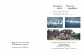 Μνημεια - Μουσεια στην Αιγιαλεια: Αλυκη - Εφταπιτα 2005-6