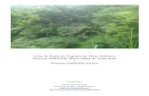 Lista de Espécies Vegetais da Mata Atlântica - Ordem alfabética por família botânica - Paulo Schwirkowski