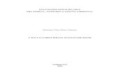 8 - Metodologia do Trabalho Científico e Orientação de TCC - TCC - HENRIQUE C. B. SANTANA - PAGYN003