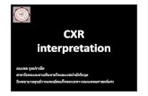 CXR interpretation ขอนแก่น มค 54