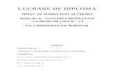 Mixul de Marketing Pentru Lansarea Produslui Clorura de Calciu La s.c. Chimoldon s.a. Borzesti