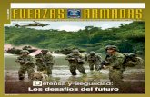 Defensa nacional, estrategia militar, técnica militar, colombia, Bacrim, Farc, ejercito, FFMM, Twitter, defensa