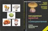 Несьедобные,ядовитые и галлюциногенные грибы
