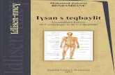 Ighsan s Teqbaylit - Vocabulaire Kabyle de l’Ostéologie et de l’Orthopédie par Mohamed Zakaria BENRAMDANE