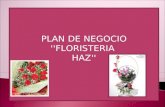Floristeria HAZ - Plan de Negocio