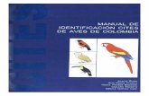 Manual de Aves Ricardo