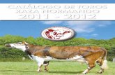 Catalogo2011-2012 NORMANDO