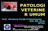 Patologi Umum-Dasar1 Prof.bambang Pontjo