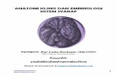 54052523 Anatomi Klinis Dan Embriologi Sistem Syaraf Yudaherdantoproduction