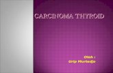 13 Epidemiology & Etiology of Thyroid Carcinoma