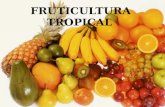 Fruticultura Introdução