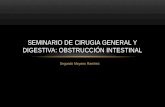 SEMINARIO DE OBSTRUCCIÓN INTESTINAL 01