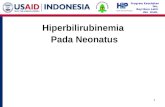 17E PP Hiperbilirubinemia DR ID