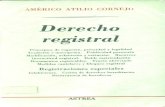 Derecho Registral - Américo Atilio Cornejo