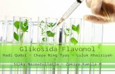 Glikosida Flavonol FIX