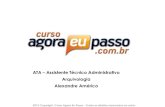 PDF AEP ATA Arquivologia AlexandreAmerico