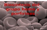 Biosintesis Del Grupo Hemo y Porfirinas (3)