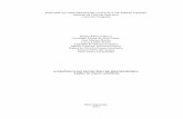 A Dinâmica do Município de Brumadinho: análise dos setores censitários