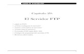 El Servidor FTP (Cap29)