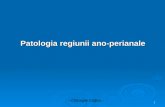 Curs 6 Patologia Regiunii Anoperianale