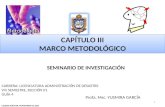 CAPÍTULO III MARCO METODOLÓGICO