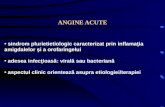 angine- MNI - difterie 2011