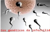 Aspectos Geneticos Da Infertilidade