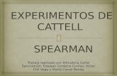 Experimentos de Cattel y Spearman