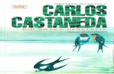 2 Bir Baska Gerceklik - Carlos Castaneda