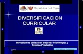 Diversificacion Curricular. Cetpro