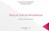 Raças Suínas Brasileiras