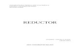 proiect reductor
