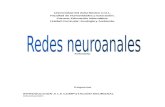 Trabajo de Redes Neuronales