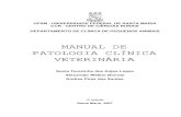 manual patologia clínica