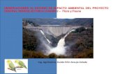 observaciones a EIA hidroeléctrica chadín 2, Río Marañón, Celendín.pdf