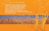 Шаганов И.А. Практические рекомендации по освоению интенсивной технологии возделывания озимых зерновых