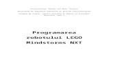 Programarea Robotului LEGO Mindstorms NXT