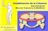 Estabilizacion Lumbo-pelvica (Transverso & Multifidos)