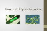 Formas de réplica bacteriana.pptx