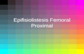 Epifisiolistesis Femoral Proximal