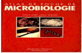Atlas de Poche Microbiologie-[Www.worldmediafiles.com]