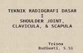 TRD-I (Shoulder,Clavicula,Scapula).pptx