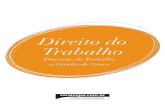 SINOPSES JURÍDICAS 28 - DIREITO DO TRABALHO - 3 edição.pdf