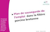 Plan sauvegarde emplois filière porcine 2013
