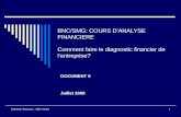Diagnostic Financier de l Entreprise1