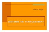 Adrian Nagel - Metode de Management