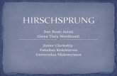 Hirschsprung Fix