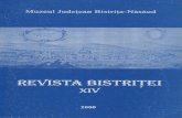 Revista Bistritei XIV 2000
